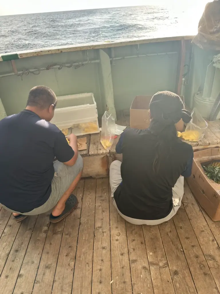 マグロ漁船長久丸-船上のおやつ作り