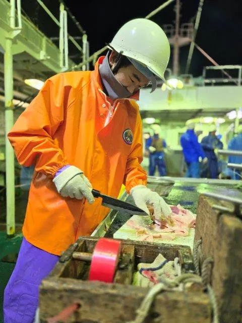 マグロの白子食べる　長久丸