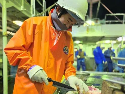 マグロの白子食べる　長久丸