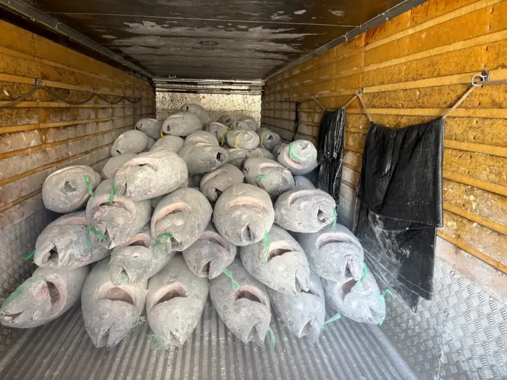 2025年12月長久丸12号水揚げ