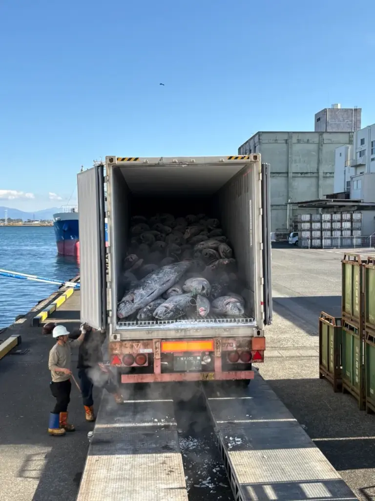 2025年12月長久丸12号水揚げ