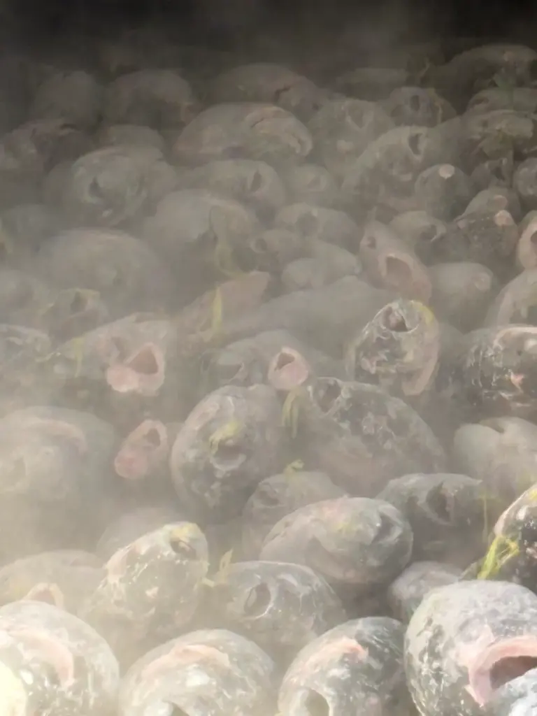 2025年12月長久丸12号水揚げ