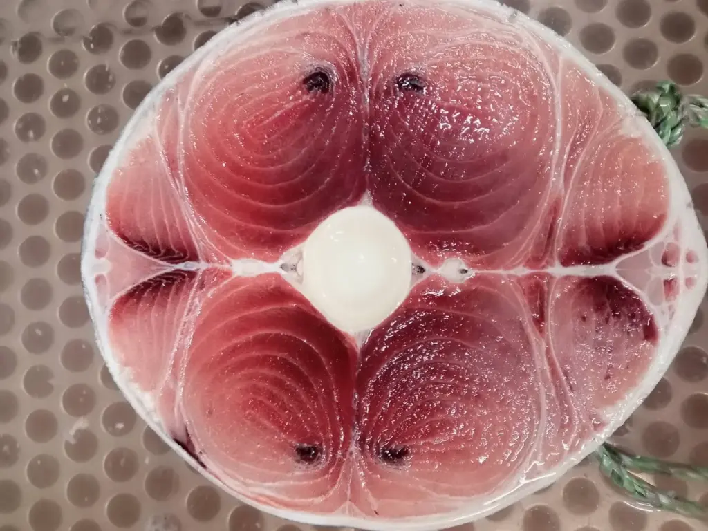 2025年12月長久丸12号水揚げ