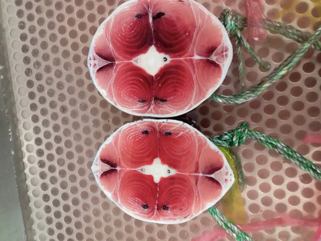 2025年12月長久丸12号水揚げ