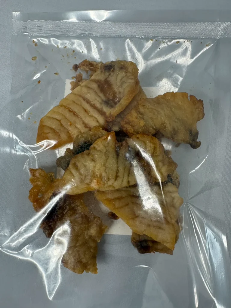 尾鷲高校の生徒と共同開発ペットフード